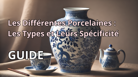 Les Différentes Porcelaines : Guide Complet sur les Types et Leurs Spécificité